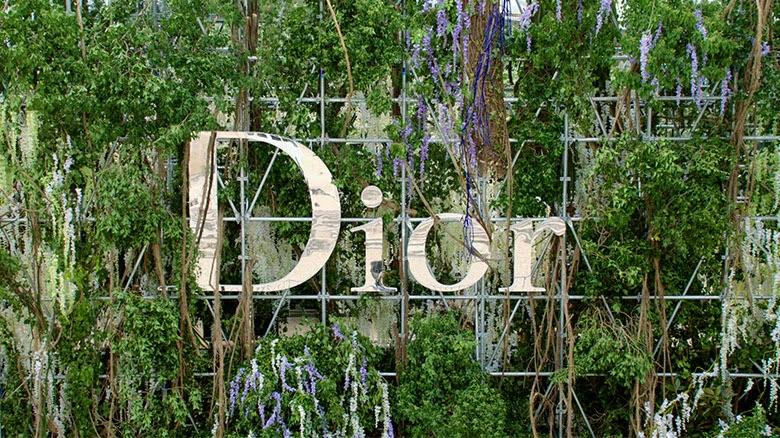 Dior sigue en caída libre por la madriguera o no...???