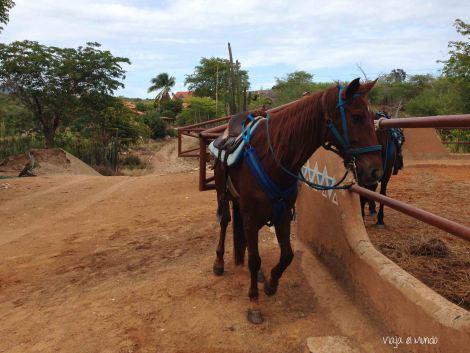 De La Restinga a Macanao y de ahí, a Punta Arenas En Cabatucan, antes de salir al paseo a caballo