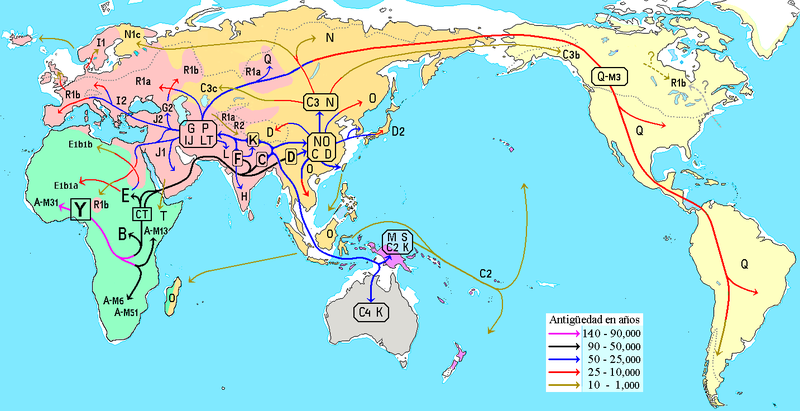 El ADN y nuestra genealogía (II): Aplicación práctica 800px-Migraciones_humanas_en_haplogrupos_de_ADN-Y