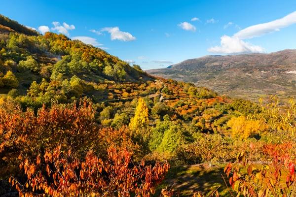 La OTOÑADA 2013 ya tiene su imagen La OTOÑADA 2013 ya tiene su imagen