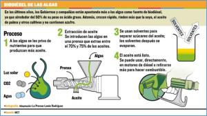 Biocombustibles de microalgas (II) proceso
