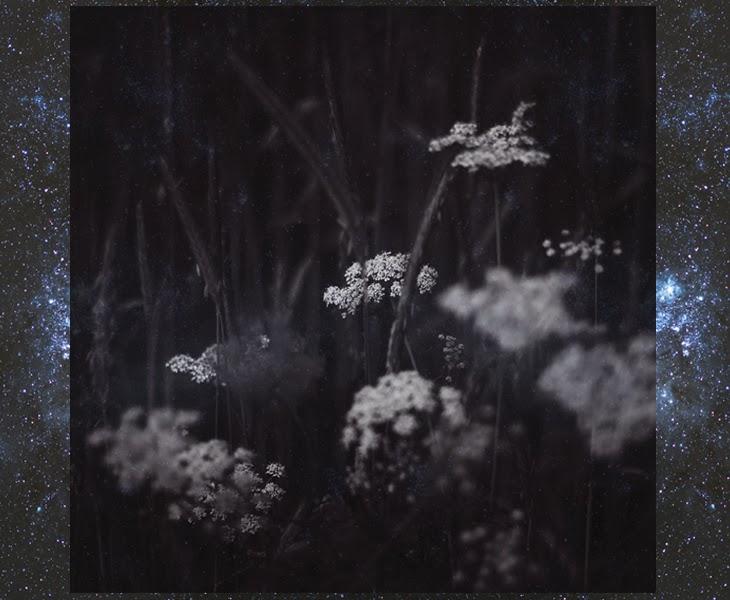 » INSPIRATION OF THE MONTH #3: DECEMBER » INSPIRATION OF THE MONTH #3: DECEMBER