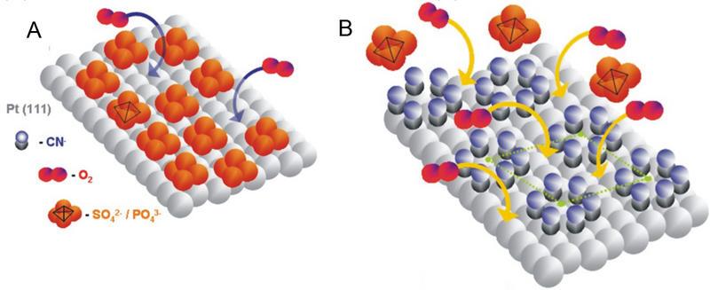 Encuentran un método para fabricar pilas de combustible con menos platino Encuentran un método para fabricar pilas de combustible con menos platino