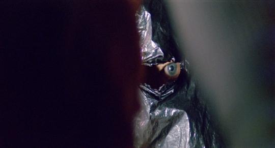 ZZ664D141F Imágenes de Let me in