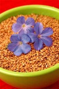 La semilla desechada La semilla desechada