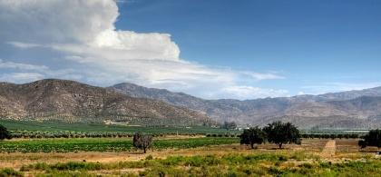 Valle de Guadalupe en Baja California