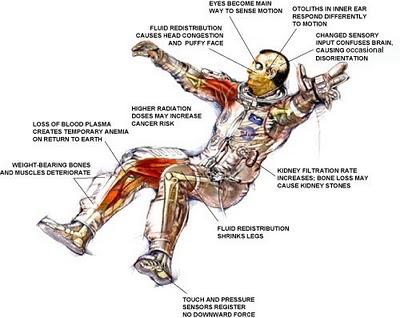 Desgaste muscular en astronautas es el mayor reto para misión a Marte Desgaste muscular en astronautas es el mayor reto para misión a Marte