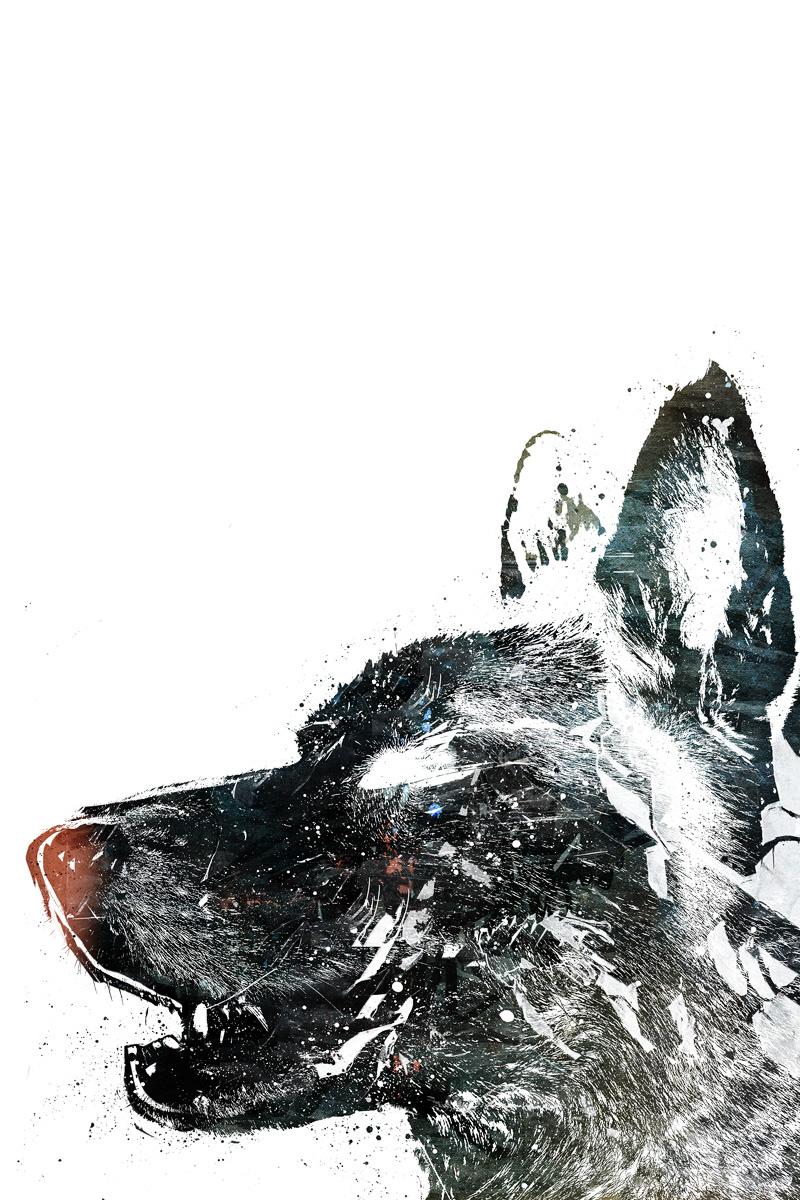 Alex Cherry – Ilustraciones Alex Cherry – Ilustraciones