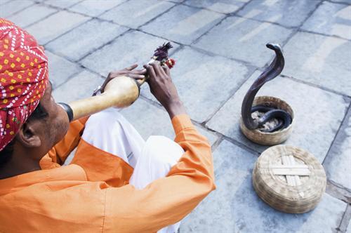 La persuasión y sus leyes High angle view of a snake charmer playing the flute, Jaipur, Rajasthan, India
