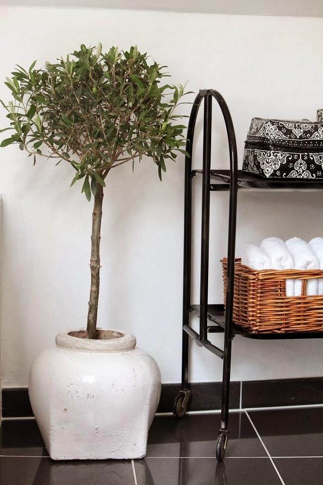 Renovarse o morir... Renovarse o morir...