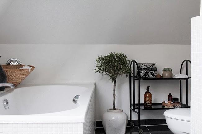 Renovarse o morir... Renovarse o morir...