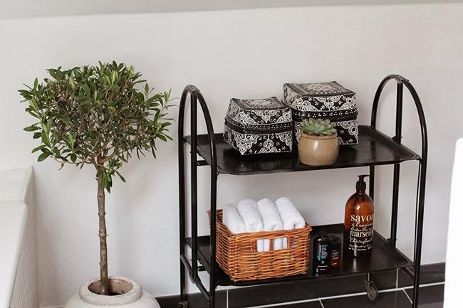 Renovarse o morir... Renovarse o morir...