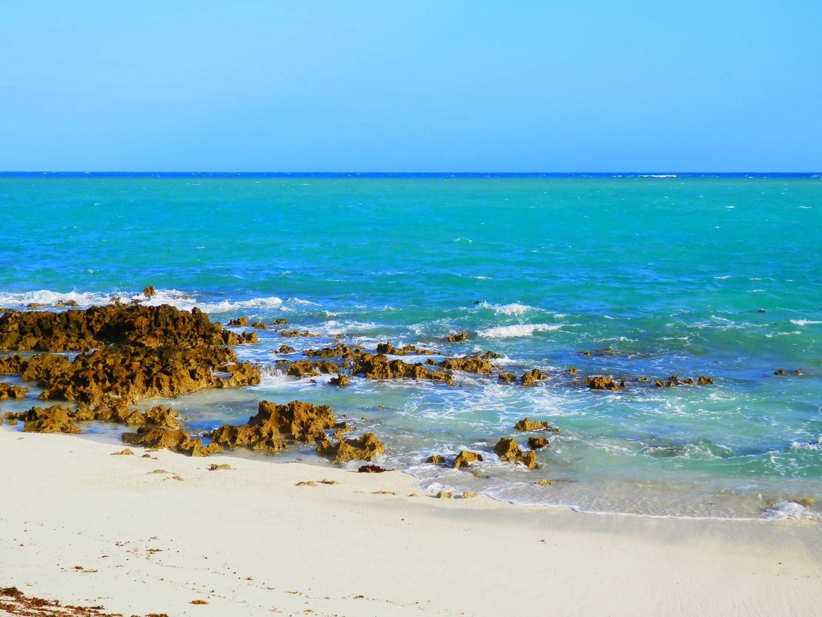 Ilha de Vamizi Ilha de Vamizi