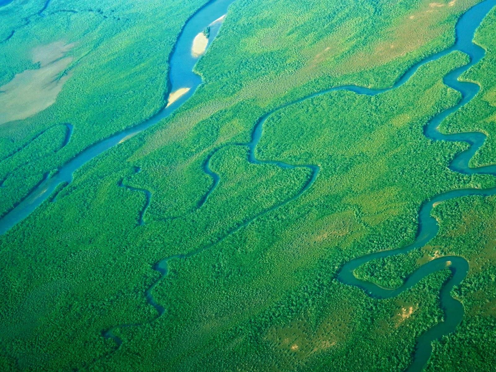 Ilha de Vamizi Ilha de Vamizi