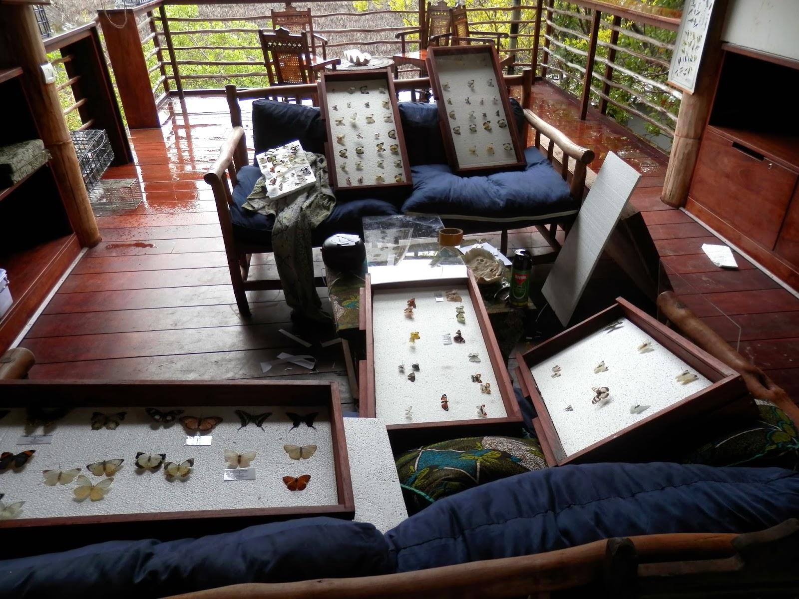 Ilha de Vamizi Ilha de Vamizi