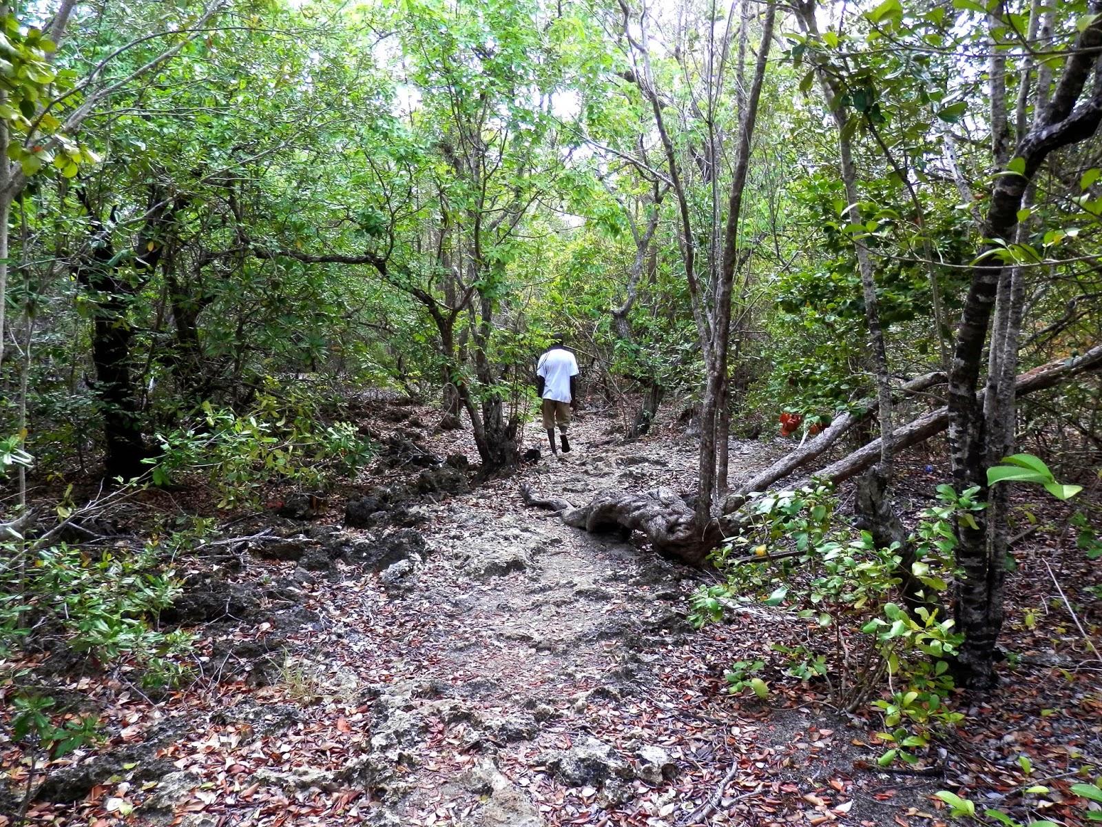 Ilha de Vamizi Ilha de Vamizi