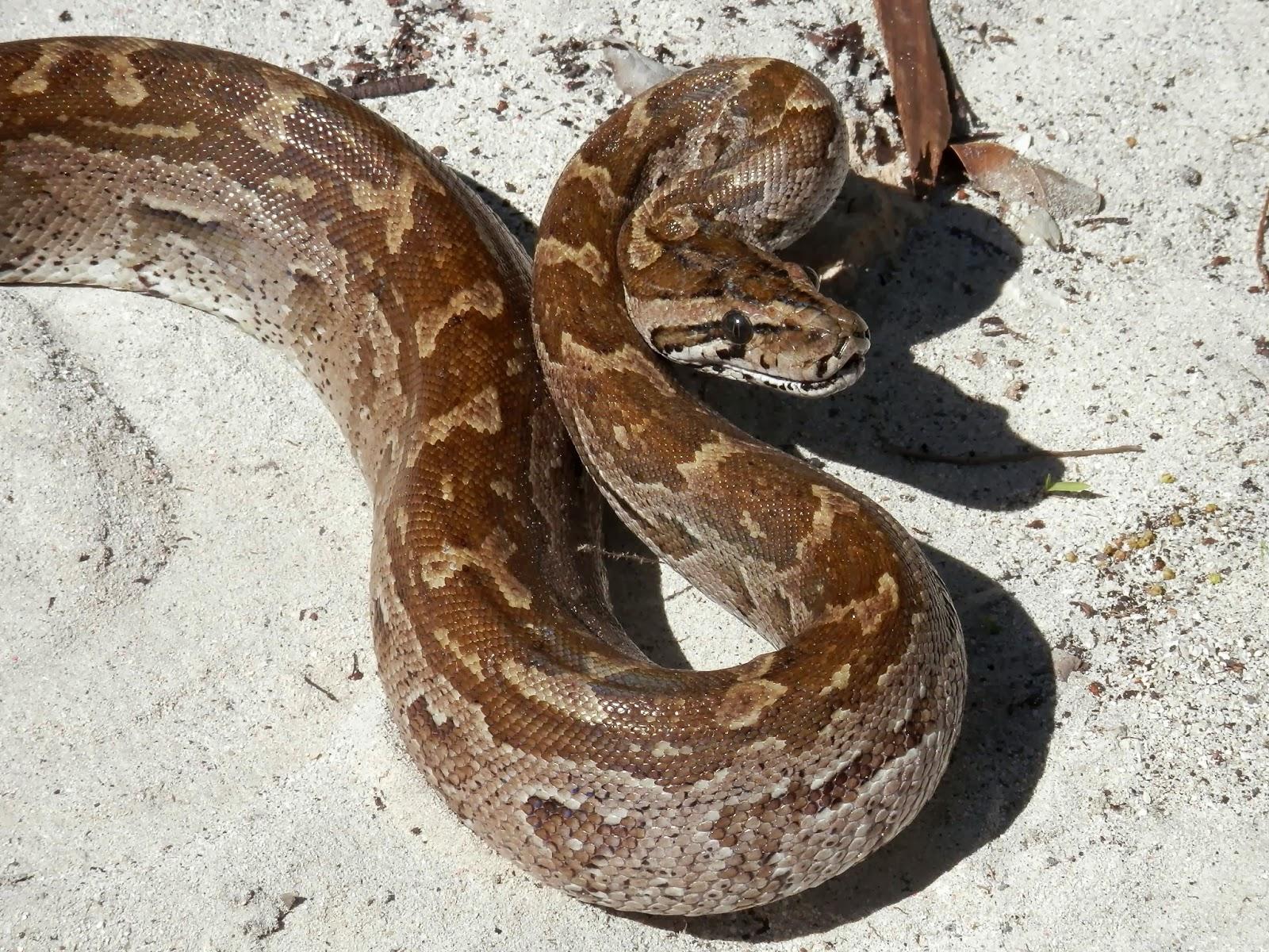 Ilha de Vamizi Ilha de Vamizi