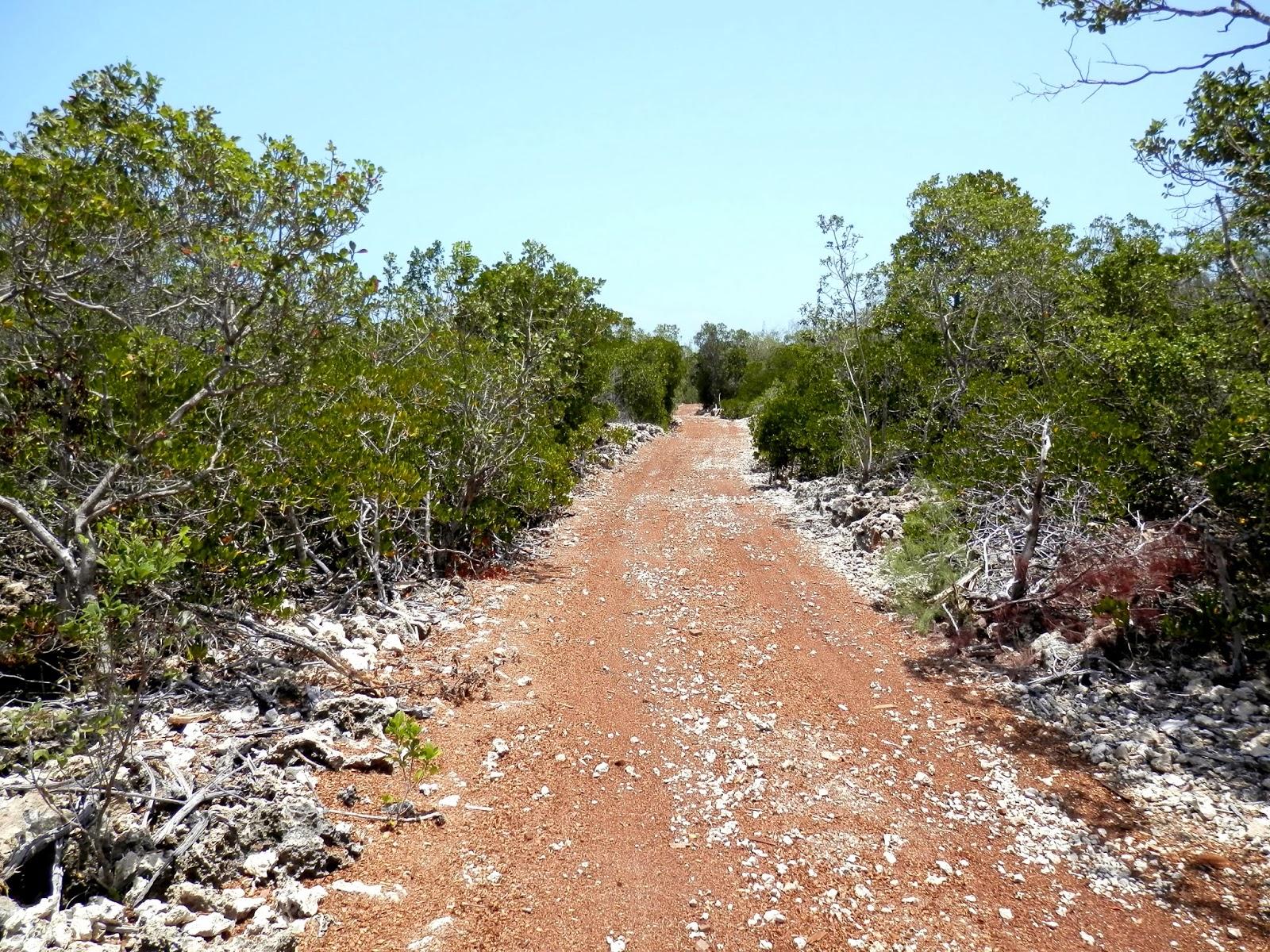 Ilha de Vamizi Ilha de Vamizi