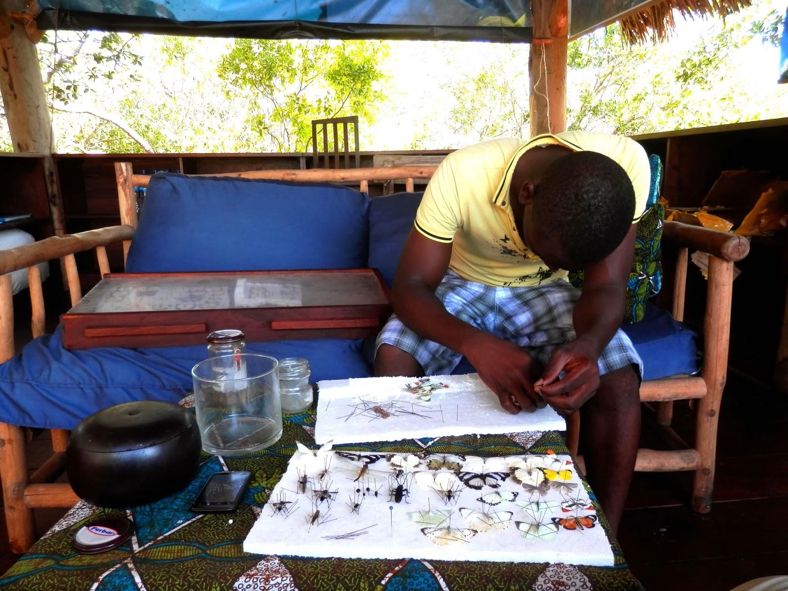 Ilha de Vamizi Ilha de Vamizi