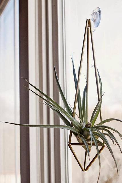 GEOMETRIC Ornaments GEOMETRIC Ornaments