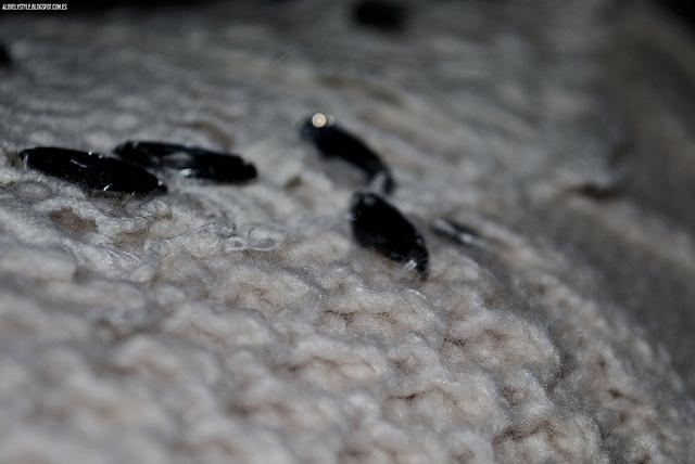 New in: Textures & Patterns lovelystyle (13)