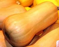 PIZZETAS DE ZAPALLO PIZZETAS DE ZAPALLO