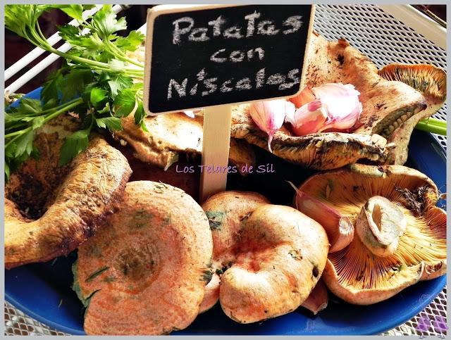 PATATAS CON NÍSCALOS, BACON Y BECHAMEL PATATAS CON NÍSCALOS, BACON Y BECHAMEL