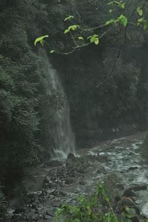 MONTAÑA EMEI Y TEMPLO WANNIAN MONTAÑA EMEI Y TEMPLO WANNIAN