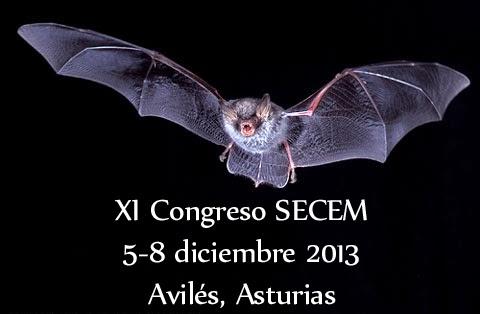 XI Congreso de la SECEM en Avilés XI Congreso de la SECEM en Avilés