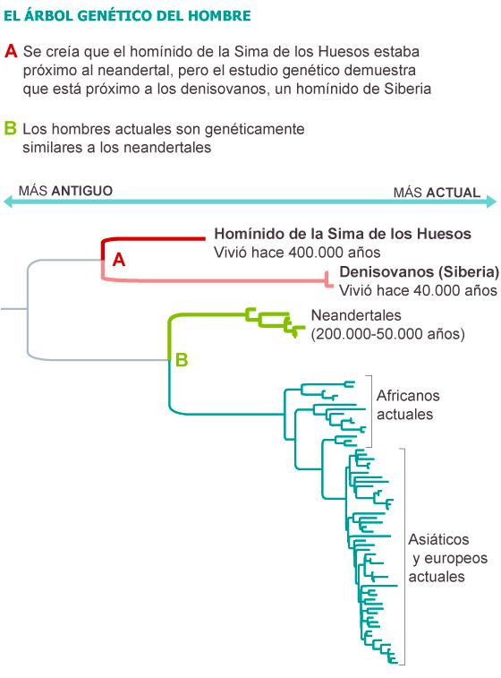 El ADN más antiguo está en Atapuerca