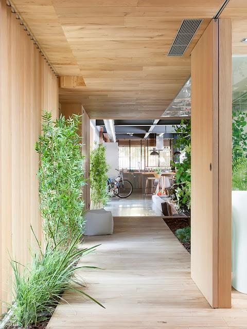 UN LUMINOSO LOFT CON UN JARDIN INTERIOR UN LUMINOSO LOFT CON UN JARDIN INTERIOR