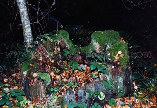 Braña de Mumián, senderismo asturiano entre prados y cabañas