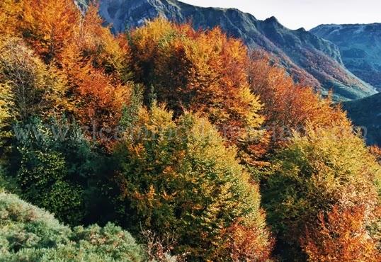 Braña de Mumián, senderismo asturiano entre prados y cabañas