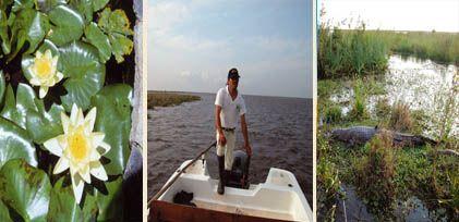 Brillos de la naturaleza, los esteros en el corazón de la provincia de Corrientes.