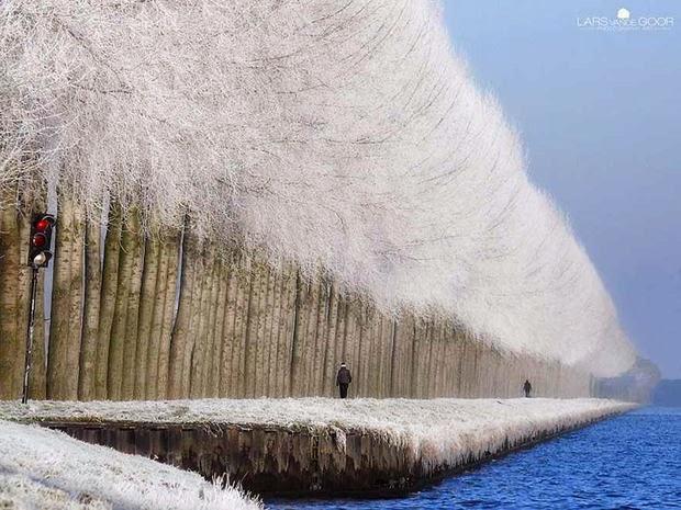 Las más bellas imágenes del invierno. 20 fotos.