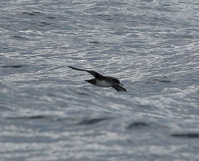 Salida a marinas con Seo Betsaide Salida a marinas con Seo Betsaide