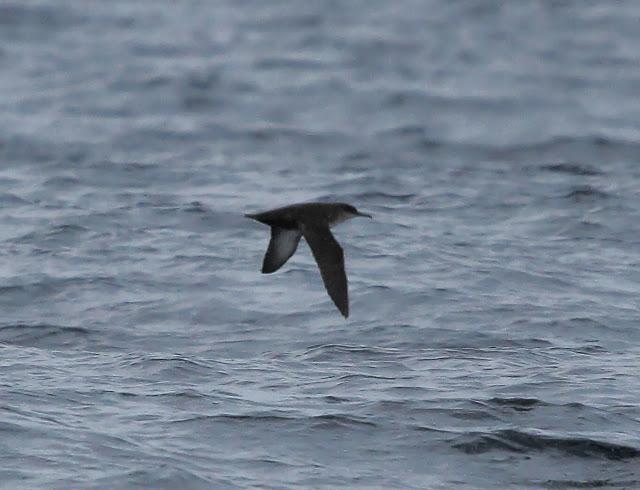 Salida a marinas con Seo Betsaide Salida a marinas con Seo Betsaide