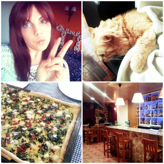 Bye Week! 8/December Bye Week! 8/December