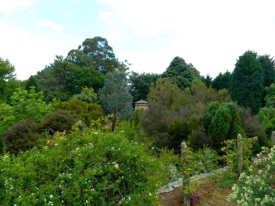 El Jardin de La Saleta, un maravilloso jardin botanico integrado en la Ruta de las Camelias