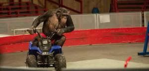 ¡Que se vayan! Un contribuyente.