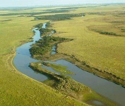 Agua y arroz, el Guayaibí y el Ayuí conforman importantes ecosistemas. Agua y arroz, el Guayaibí y el Ayuí conforman importantes ecosistemas.