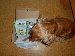 PetSecret de Noviembre PetSecret de Noviembre