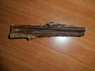 PetSecret de Noviembre PetSecret de Noviembre