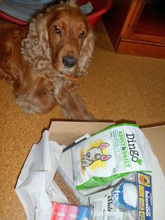 PetSecret de Noviembre PetSecret de Noviembre