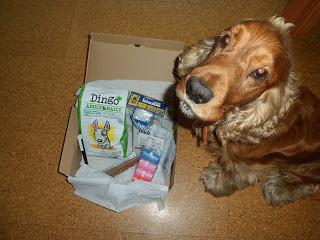 PetSecret de Noviembre PetSecret de Noviembre