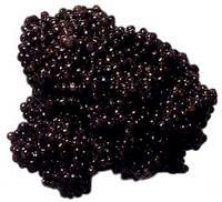 Huevas de esturión caviar Huevas de esturión el caviar mas caro del mundo