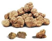 Trufa blanca Trufa blanca es la mas cara del mundo en la lista imposible