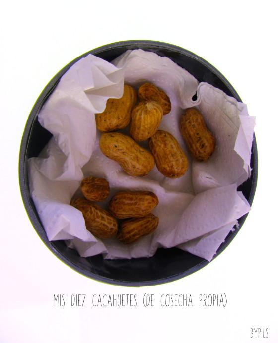 Píldoras de adornos navideños y otras cosas… cacahuetes