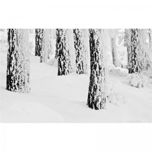 DECORACIÓN ESPECIAL NAVIDAD paisaje fotogafia de autor ilovepitita 300x300 DECORACIÓN ESPECIAL NAVIDAD