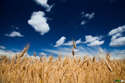 Nuestros rincones más cercanos Nuestros rincones más cercanos